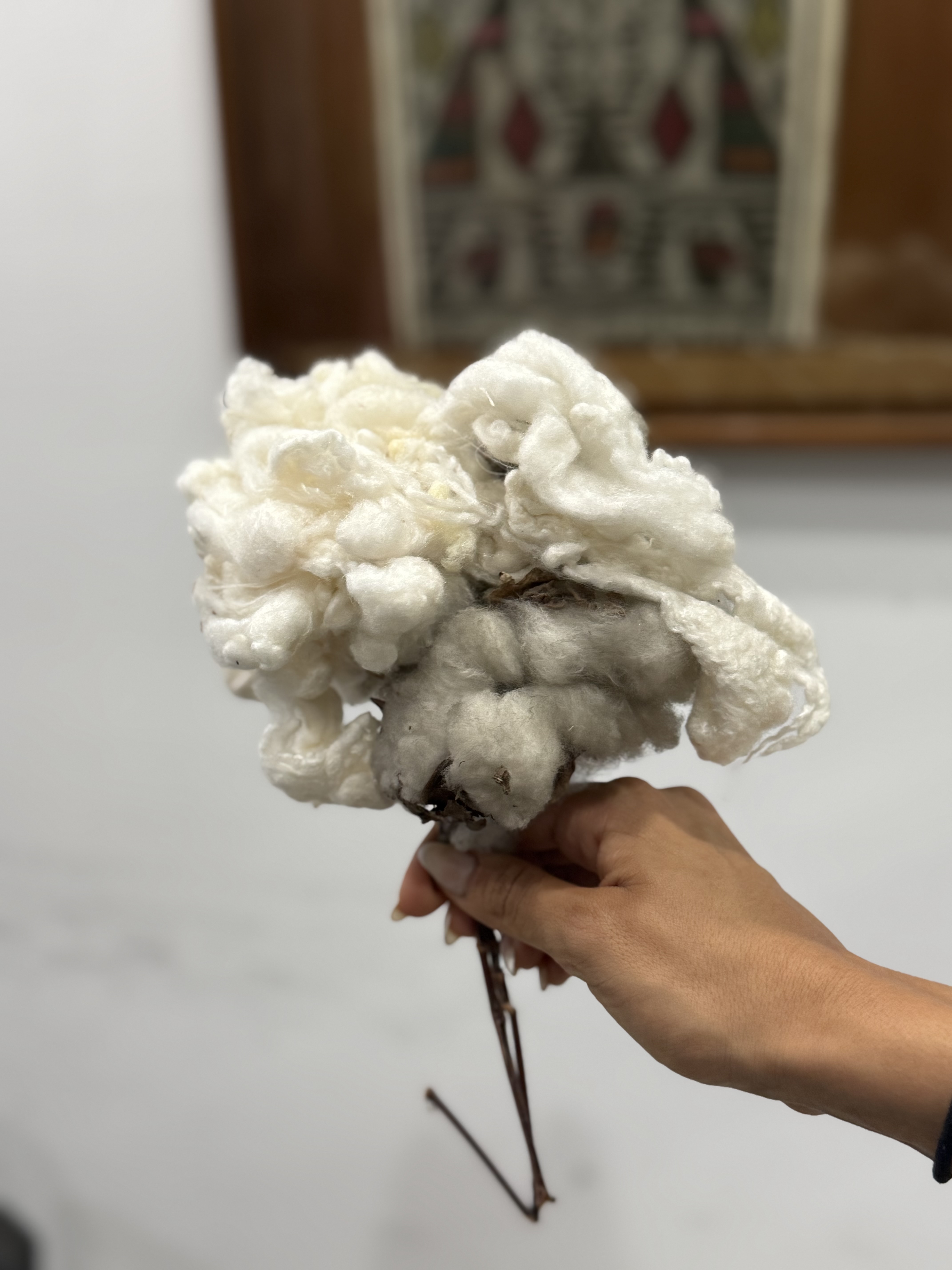 Algodón natural — materia prima